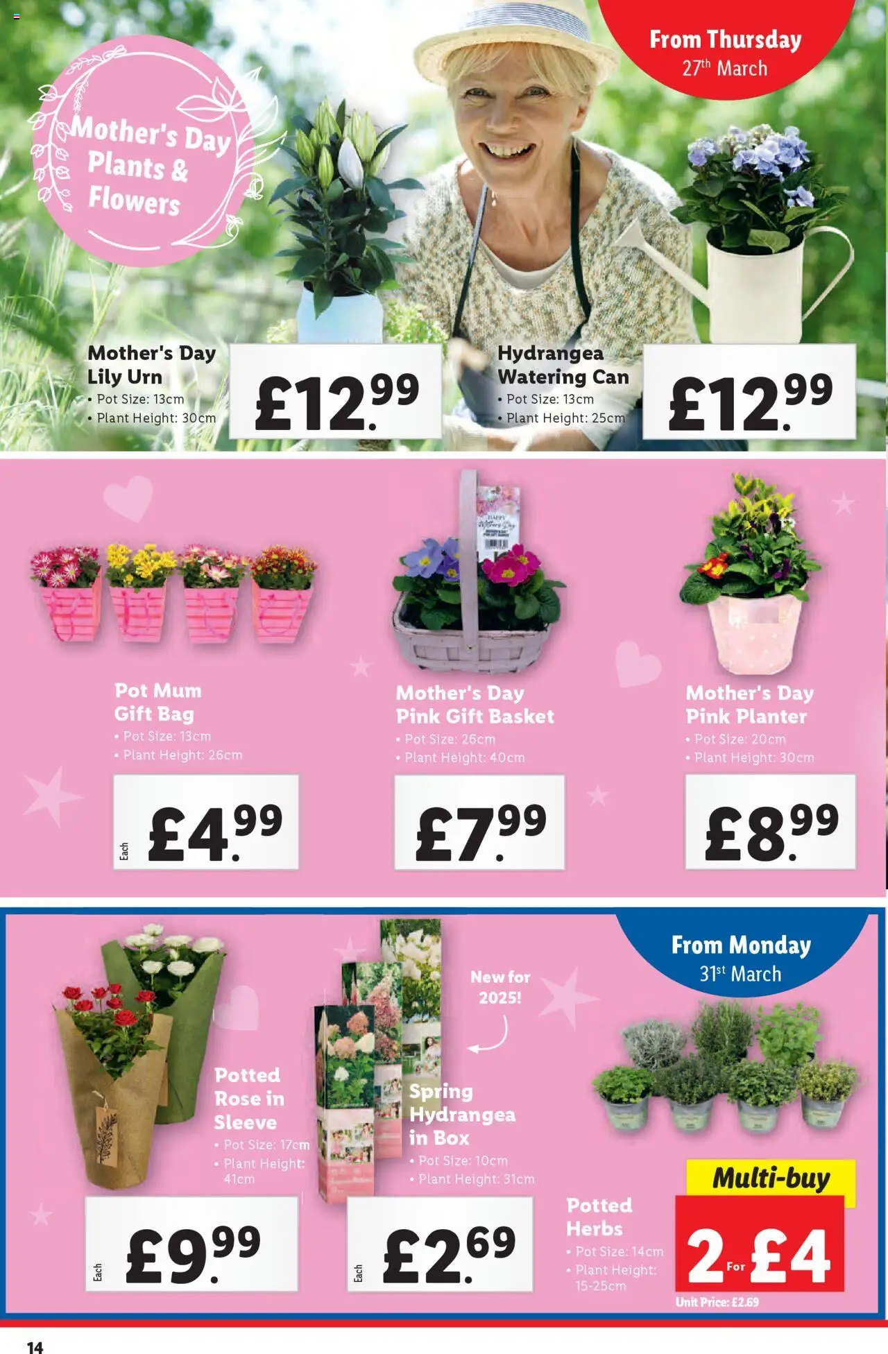 Lidl shop Mother's Day valid from 27/03/2025 - Page number 14