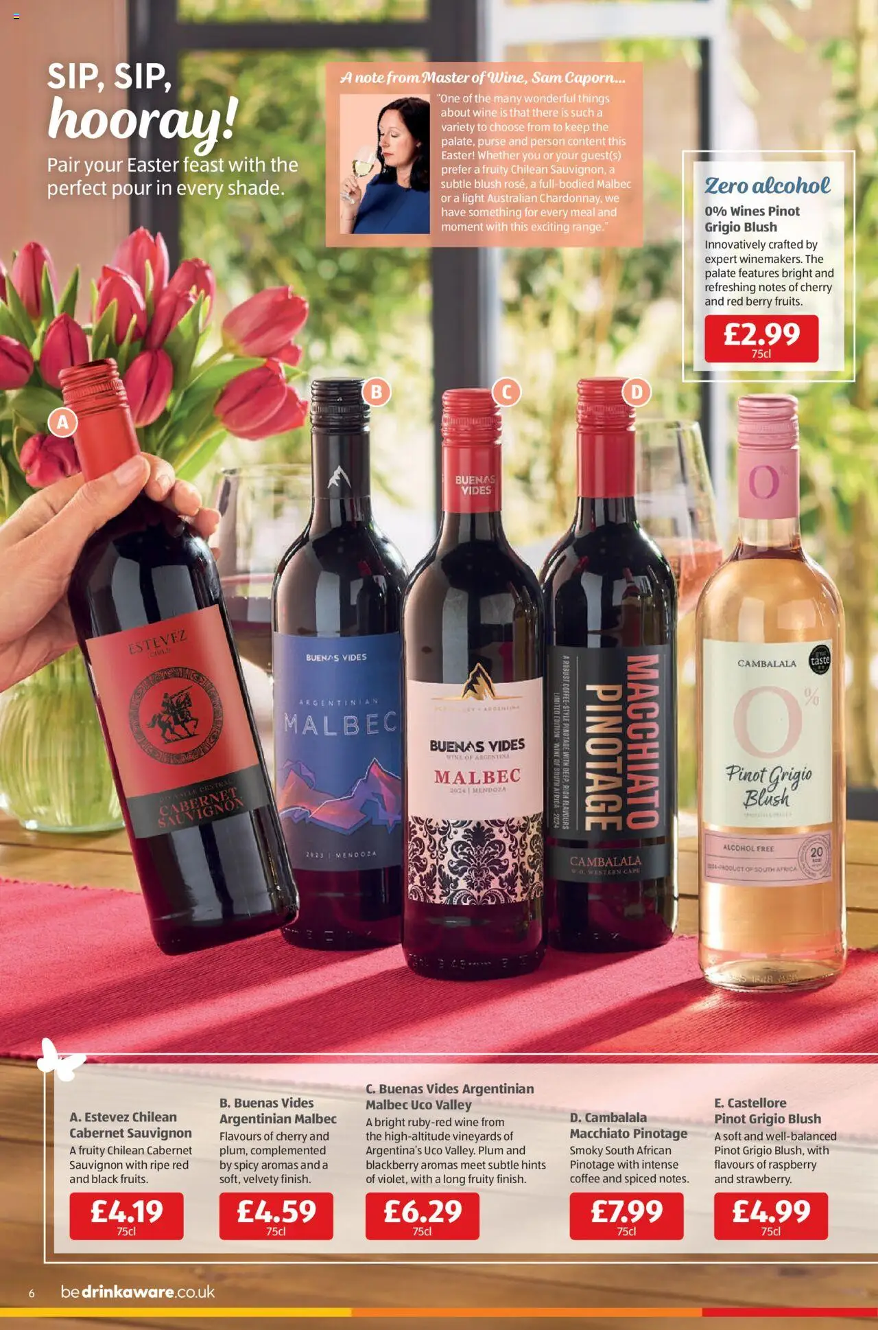 Aldi shop Weekly offers UK Specialbuys valid from 10/04/2025 - Page number 6