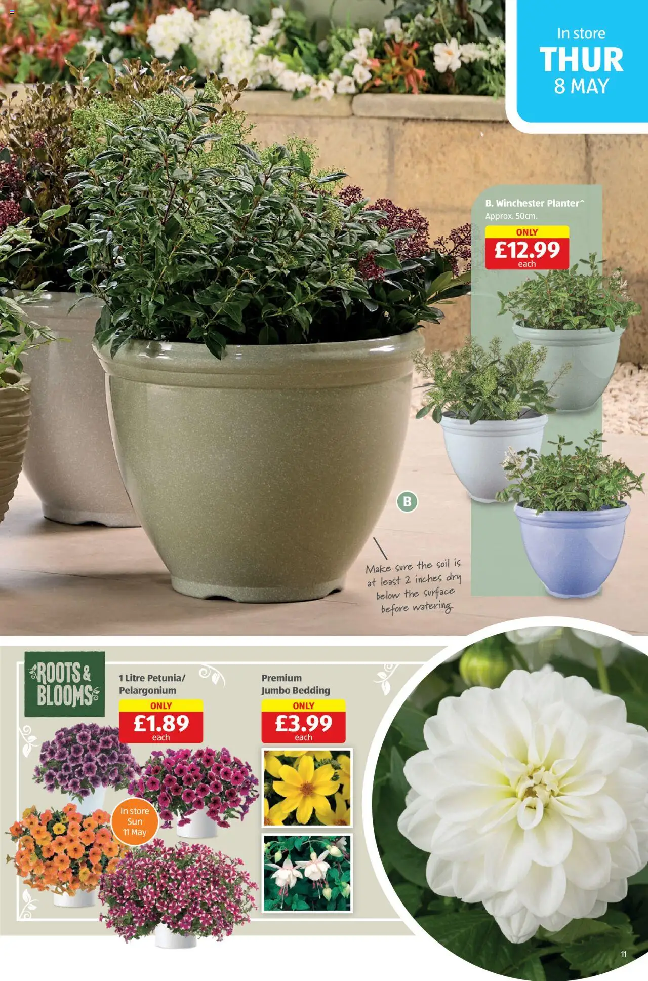 Aldi shop Weekly offers Scottish Specialbuys valid from 08/05/2025 - Page number 11