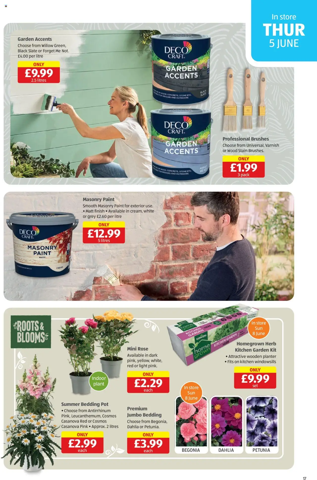 Aldi shop Weekly offers Scottish Specialbuys valid from 05/06/2025 - Page number 17