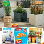 Aldi special buys this week 3 June