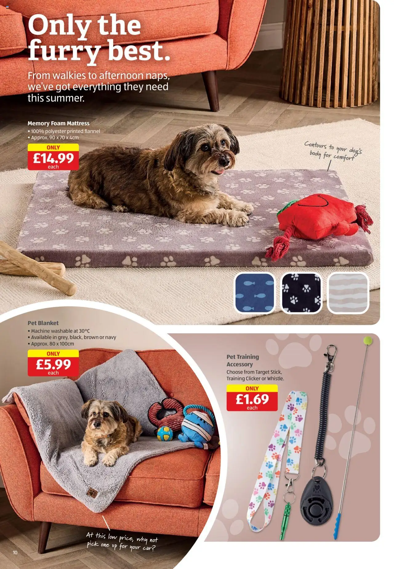 Aldi shop Weekly offers Scottish Specialbuys valid from 12/06/2025 - Page number 10