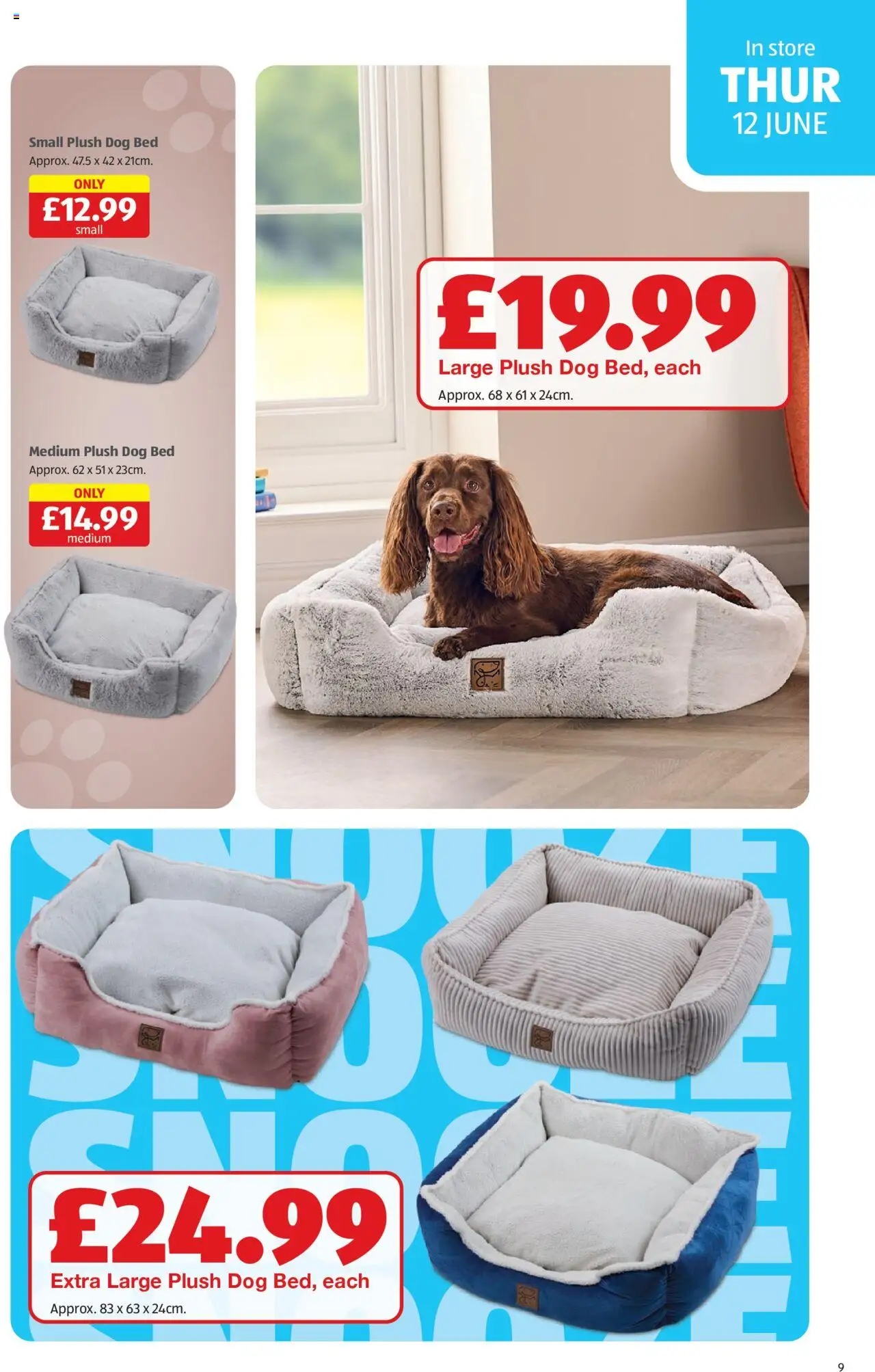 Aldi shop Weekly offers Scottish Specialbuys valid from 12/06/2025 - Page number 9
