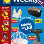 Lidl offers (12/06/2025) - new buys and sales