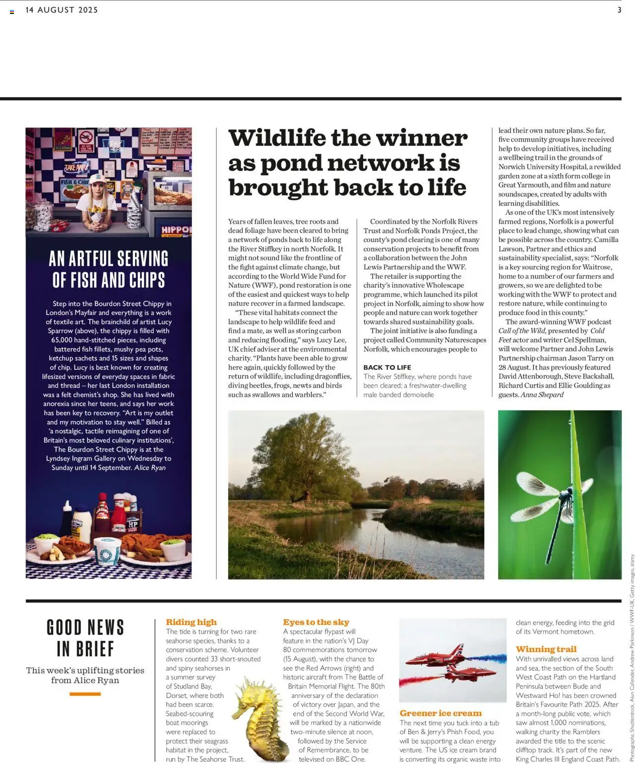 Waitrose shop Offers valid from 14/08/2025 - Page number 3